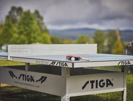 Fisking I Valdres Tisleidalen