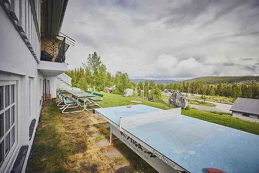 Fisking I Valdres Tisleidalen