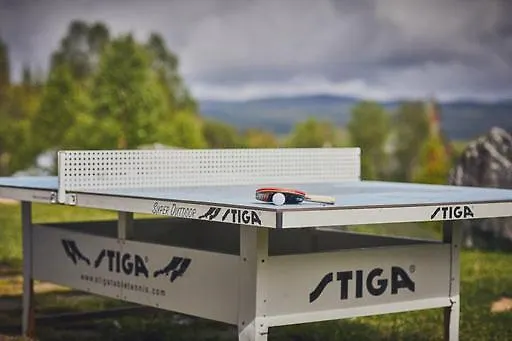 Fisking I Valdres Tisleidalen